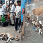 এই নিষ্ঠুর পৃথিবীতে সন্তানের প্রতি মায়ের অপূরনীয় ভালো বাসা