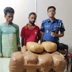 কুমিল্লা কোতয়ালী থানাধীন ছত্রখিল  ফাঁড়ি পুলিশের অভিযানে ৩৩ কেজি গাঁজা সহ আটক-২