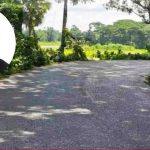 ড. খন্দকার মোশাররফ হোসেনের উদ্যোগে দাউদকান্দি-মতলব বাবুরহাট মহাসড়ক চার লেনে উন্নীতকরণের প্রস্তাবে প্রশাসনিক অনুমোদন